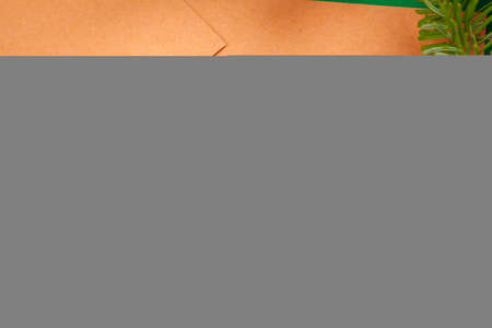 Close up mockup of invitation card with dry orangeの写真素材