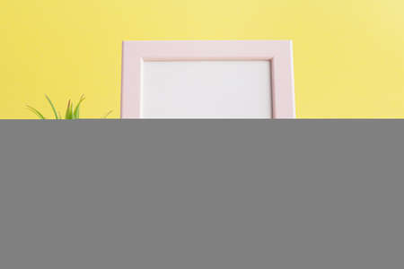 succulent plant on a yellow background.の写真素材