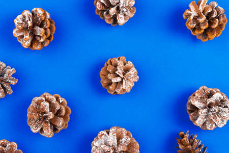 Pine cones pattern background on blue tableの写真素材