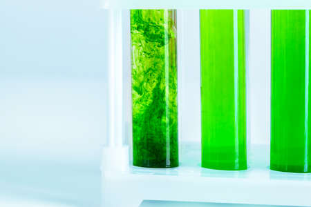 Green liquids in test tubes in chemical laboratory close upの写真素材