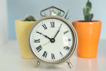 Old-fashioned alarm clock and house plant on wooden tableの写真素材
