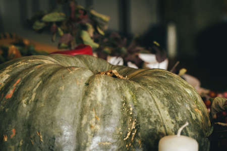 Autumn decor with pumpkin, candles and tablewareの写真素材