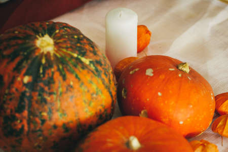 Autumn background with pumpkin close up on tableの写真素材