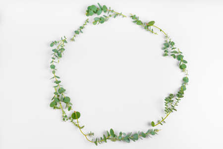 Background of branches floral and leaves isolated on white background. lay flat, top viewの写真素材