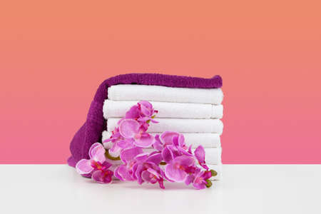 Beautiful pink flowers and white towels on pink backgroundの写真素材