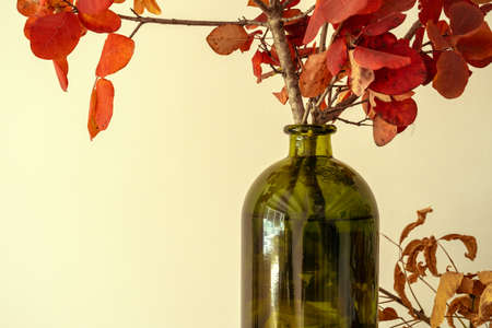 Cropped image of decorative dried plant branchesの写真素材