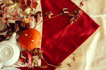 Stylish thanksgiving autumn table decor with pumpkin and dried branches