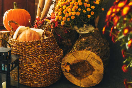 Close up shot of a pumpkin and basket, autumn composition
