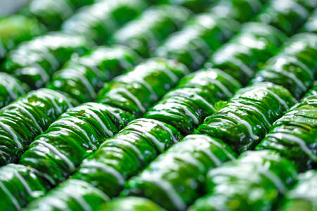 Green colored Turkish dessert baklava placed in rowsの写真素材