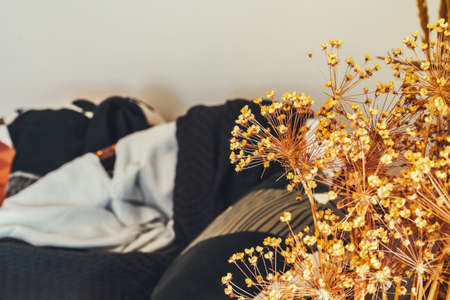 Cropped image of decorative dried plant branchesの写真素材