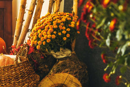 Close up shot of a pumpkin and basket, autumn compositionの写真素材