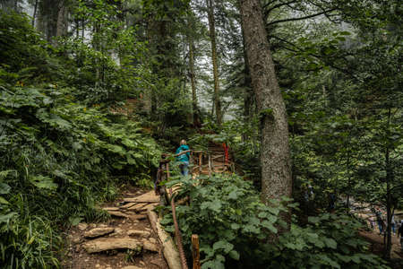 Woman hiking in the forest in mountains