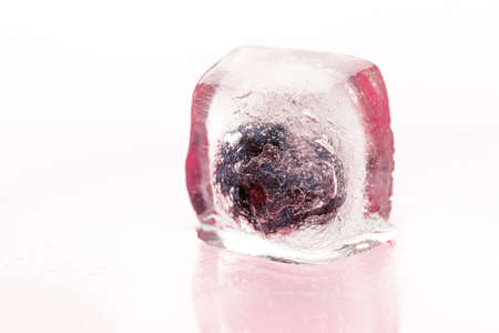 Berry ice cubes for decorating beverages close upの写真素材