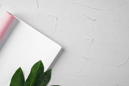 Blank paper letter with plant branch, copy space