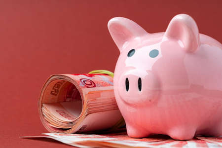 Multicurrency basket concept. Piggy bank with banknotes of russian roublesの写真素材