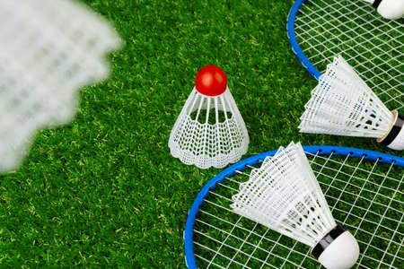 Badminton game rackets and shuttlecock on grassの写真素材