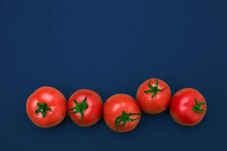 red tomatos on classic blue color backgroundの写真素材