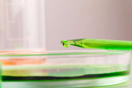 Scientific research with laboratory glass close upの写真素材