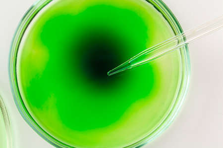 Scientific research with laboratory glass close upの写真素材