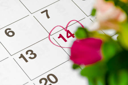 Valentiness day concept. Fresh flowers with number of 14