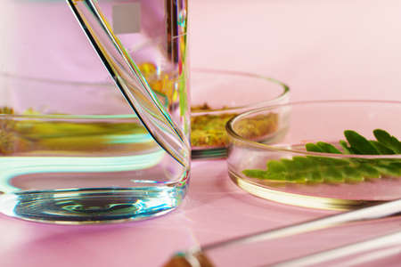 Concept research of beauty and skincare dietary supplements at laboratory