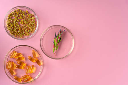 Herbs and Herbal dietary supplements top view on pink background