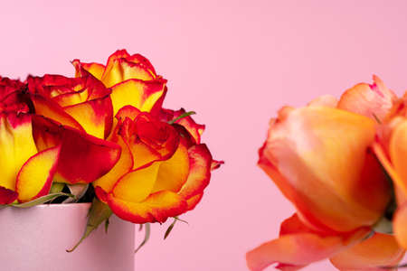 Cardboard box with roses on pink background