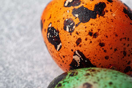 Easter celebration. Close up of painted eggsの写真素材