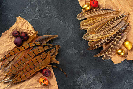 Easter quail eggs in feathers on dark backgroundの写真素材