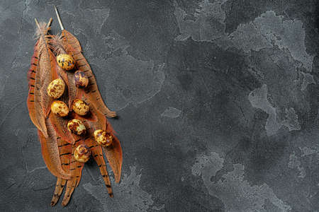 Easter quail eggs in feathers on dark backgroundの写真素材