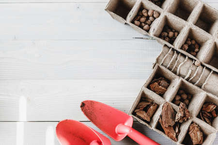 Collection of various house plants, gardening gloves, potting soil and trowel on white wooden background. Potting house plants background.の写真素材