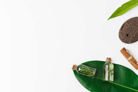 Essential oil in a small bottle with green leaf on white backgroundの写真素材