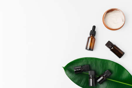 Essential oil in a small bottle with green leaf on white backgroundの写真素材