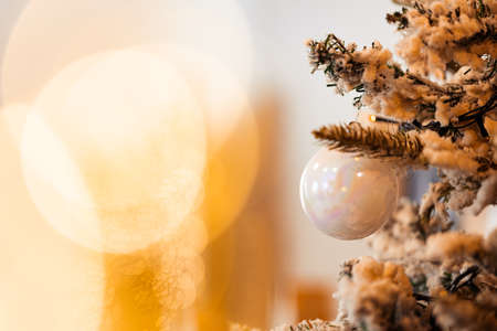 Christmas banner with Christmas tree branch and ballの写真素材