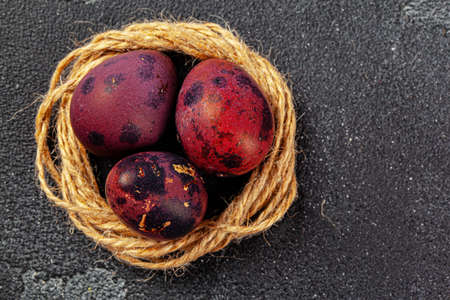 Just painted colorful Easter eggs in a nest