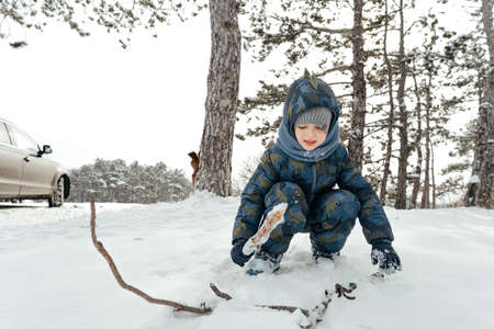 Little boy in a winter park or forestの写真素材