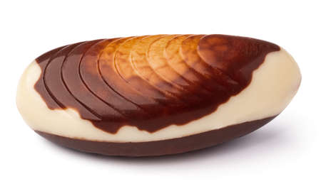 Chocolate sweets shaped as seashells isolated on white background