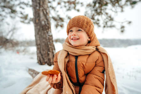 LIttle boy on a picnic in winter forestの写真素材