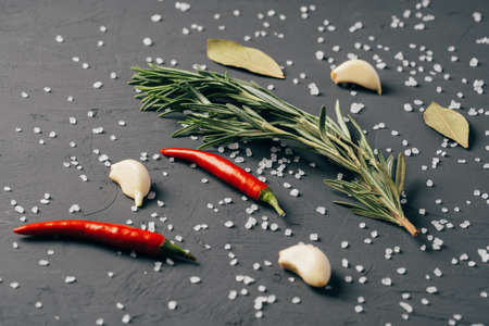 Salt and spices scattered on black backgroundの写真素材