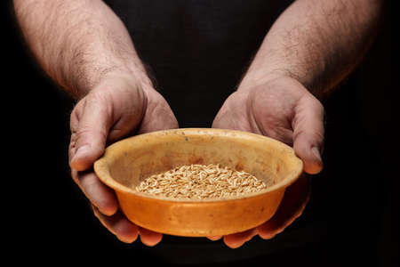 Close up of male hands holding small amount of wheat seeds. Lack of food and hunger conceptの写真素材