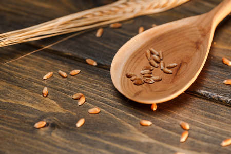 Several grains of cereals, natural dry grainの写真素材