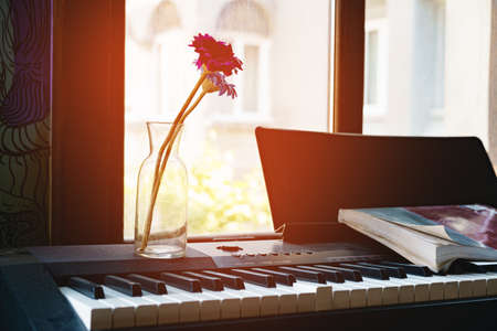 Red flower in a transparent vase on a piano near the windowの写真素材