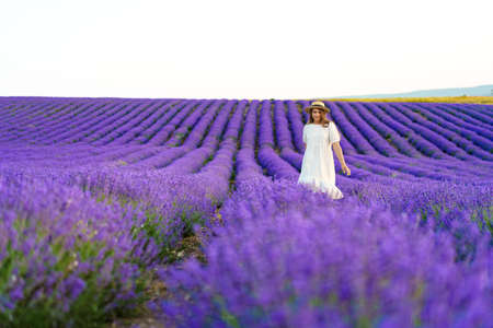 Young woman in a white dress walking in a lavender fieldの写真素材