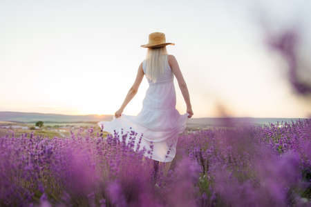 Back view of female in dress and hat standing in lavender fieldの写真素材