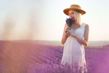 Portrait o charming blonde girl smells lavender flowers in lavender fieldの写真素材
