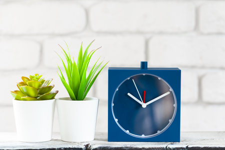 House plants in pots on white table at white brick wall with objectsの写真素材