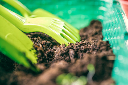 plant in seedling peat pot on a wooden tableの写真素材