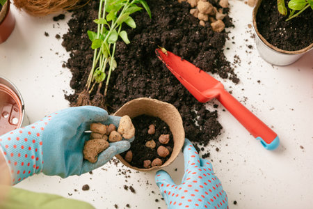 female gardener arranging plants at house using toolsの写真素材