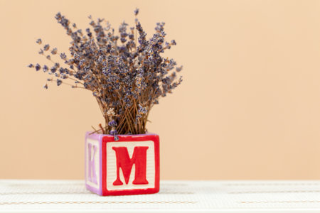 Little house plant in pot on wooden table close up copy spaceの写真素材