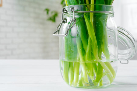 Green stems of tulips in a glass vase with waterの写真素材